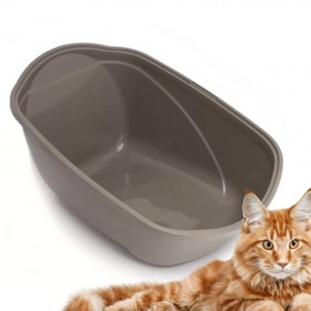 Comfy Cleo Easy Litter Box